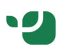 Vivus